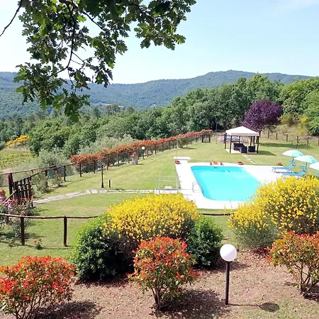 Appartement La Mimosa By Interhome Cortona