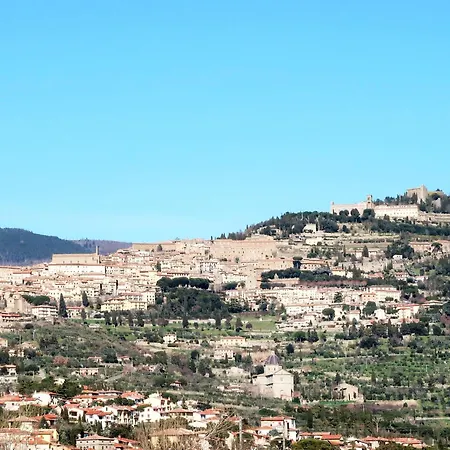 La Mimosa By Interhome * Cortona